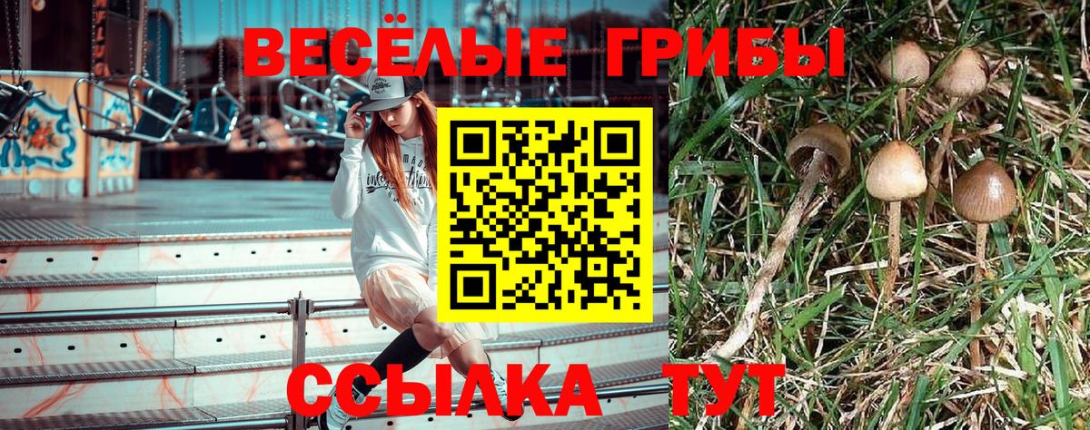 Псилоцибиновые грибы Cubensis  Вход с VPN  Галлюциногенные грибы Psilocybine cubensis  Старая Купавна 